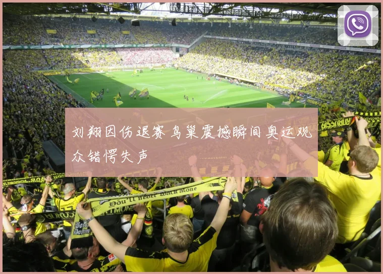 刘翔因伤退赛鸟巢震撼瞬间奥运观众错愕失声