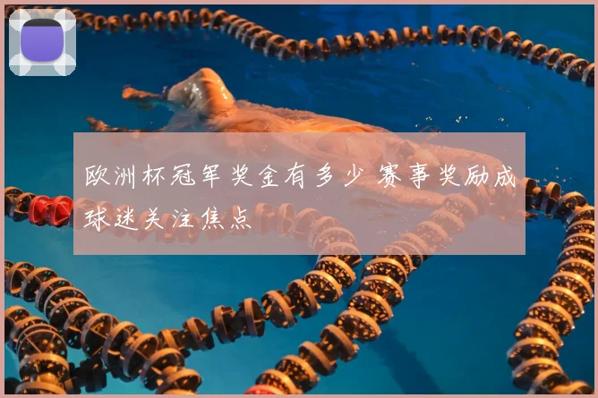欧洲杯冠军奖金有多少 赛事奖励成球迷关注焦点
