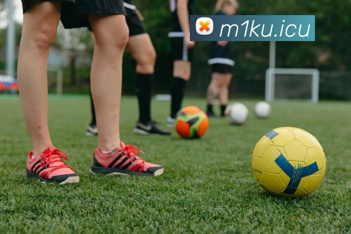 九游网页版登录入口 - 九游(中国)服务体系