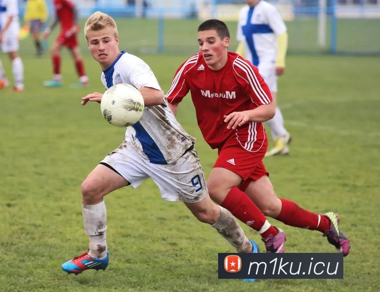 九游网页版登录入口 - 九游(中国)APP 体育赛事宣传图